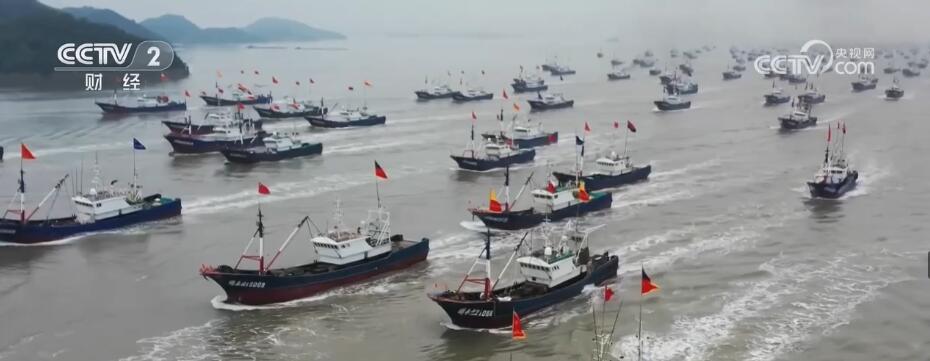 開漁啦！萬舸爭流競出海 魚肥蟹美慶豐收(圖3)