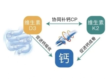 缺鈣怎么補(bǔ)？液體鈣有用嗎？鈣片哪個牌子好(圖3)