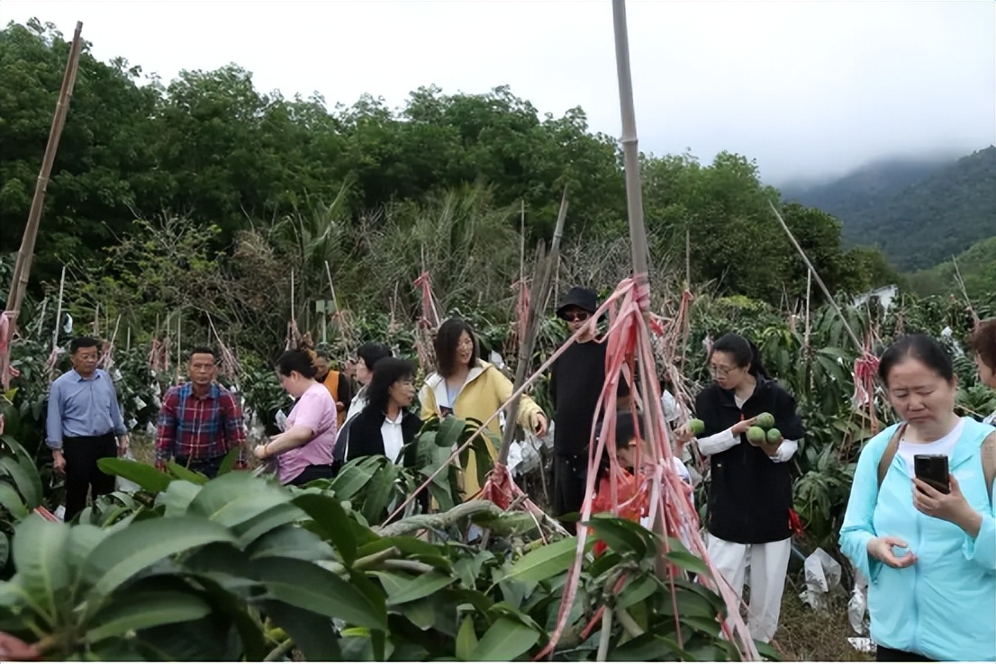 山海聯(lián)動！晉瓊康養(yǎng)新生態(tài)鏈，“健康家園”在海南！(圖24)